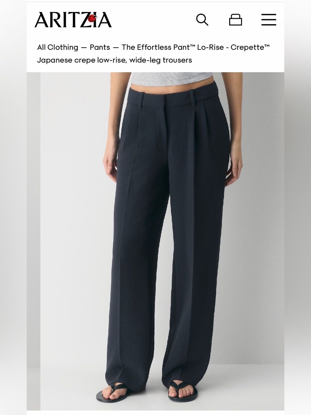 Aritzia Wide-Leg Crepe Pants in Black
Low Rise